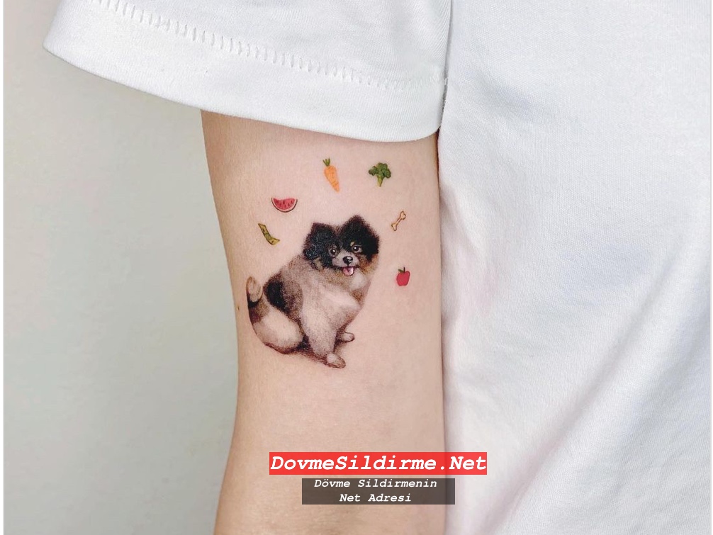 Harika Köpek Dövmesi Modelleri Dog Tattoos