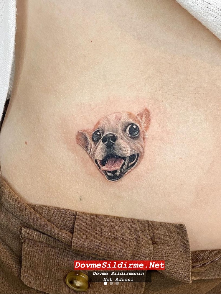 Harika Köpek Dövmesi Modelleri Dog Tattoos