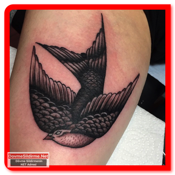 kırlangıç kuşu dövmesi modelleri, swallow tattoos 