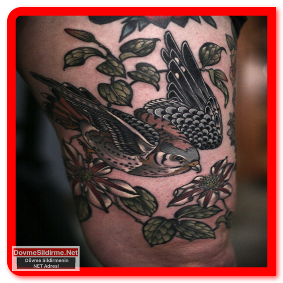 kuş dövmesi modelleri, Bird tattoos